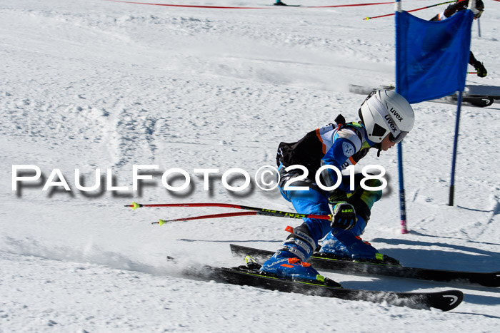 Ziener Cup WF, Finale, Quali + Parallelslalom, 24.03.2018