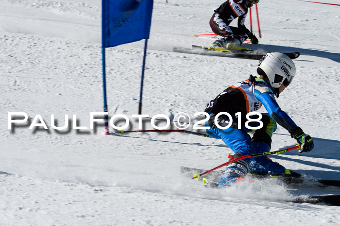 Ziener Cup WF, Finale, Quali + Parallelslalom, 24.03.2018