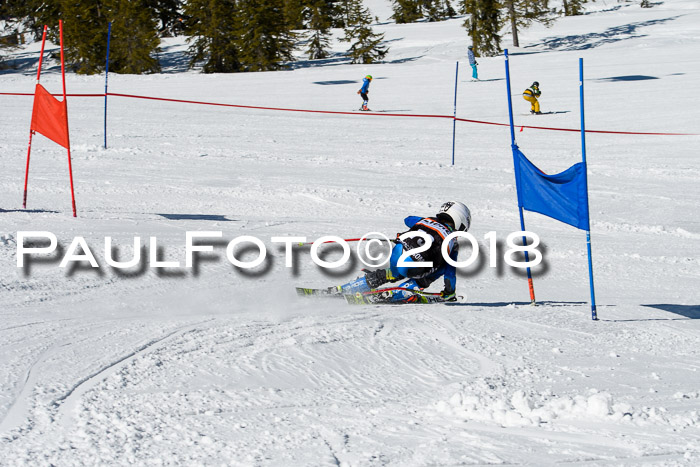 Ziener Cup WF, Finale, Quali + Parallelslalom, 24.03.2018