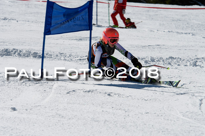 Ziener Cup WF, Finale, Quali + Parallelslalom, 24.03.2018