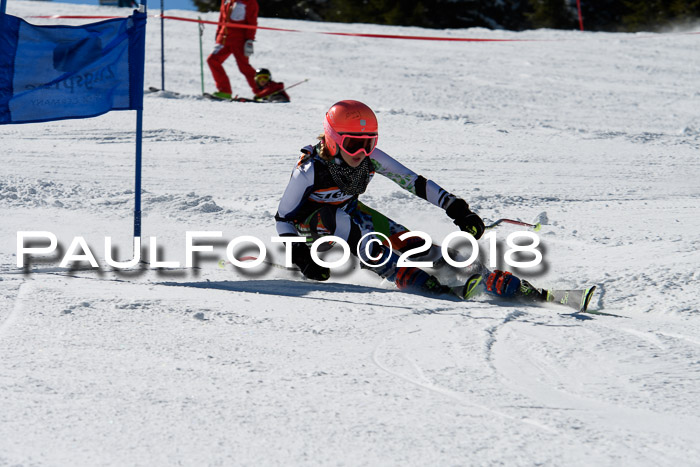 Ziener Cup WF, Finale, Quali + Parallelslalom, 24.03.2018