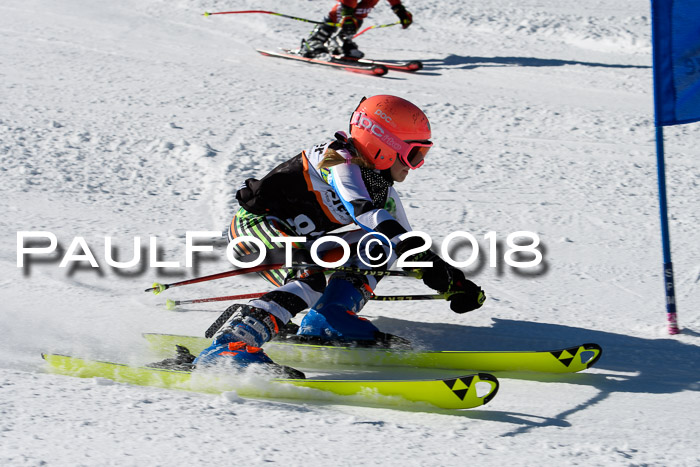 Ziener Cup WF, Finale, Quali + Parallelslalom, 24.03.2018