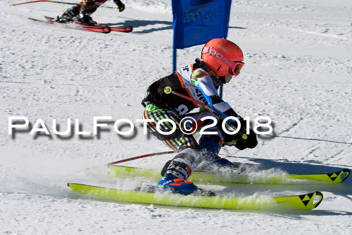 Ziener Cup WF, Finale, Quali + Parallelslalom, 24.03.2018