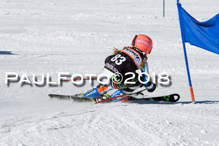 Ziener Cup WF, Finale, Quali + Parallelslalom, 24.03.2018