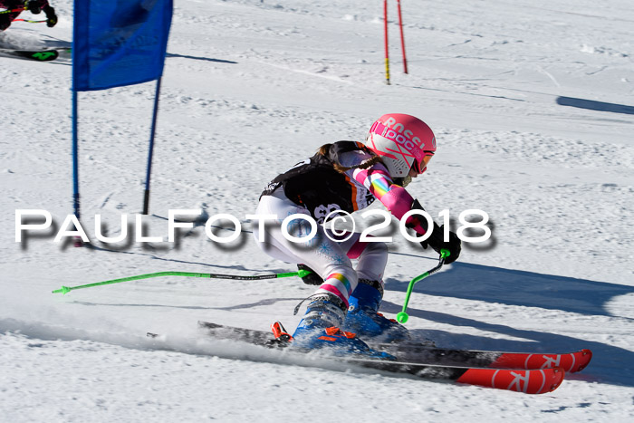 Ziener Cup WF, Finale, Quali + Parallelslalom, 24.03.2018