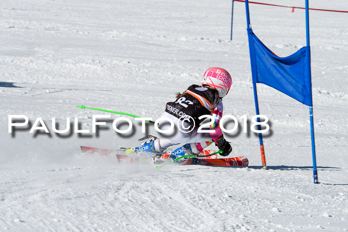Ziener Cup WF, Finale, Quali + Parallelslalom, 24.03.2018