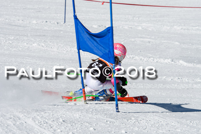 Ziener Cup WF, Finale, Quali + Parallelslalom, 24.03.2018