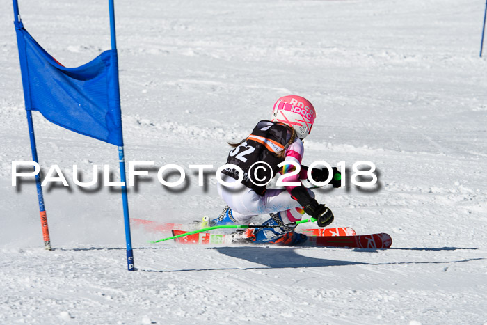 Ziener Cup WF, Finale, Quali + Parallelslalom, 24.03.2018