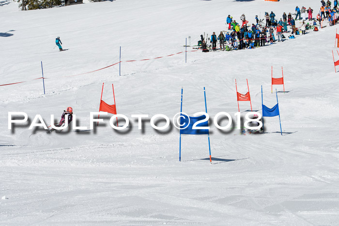Ziener Cup WF, Finale, Quali + Parallelslalom, 24.03.2018