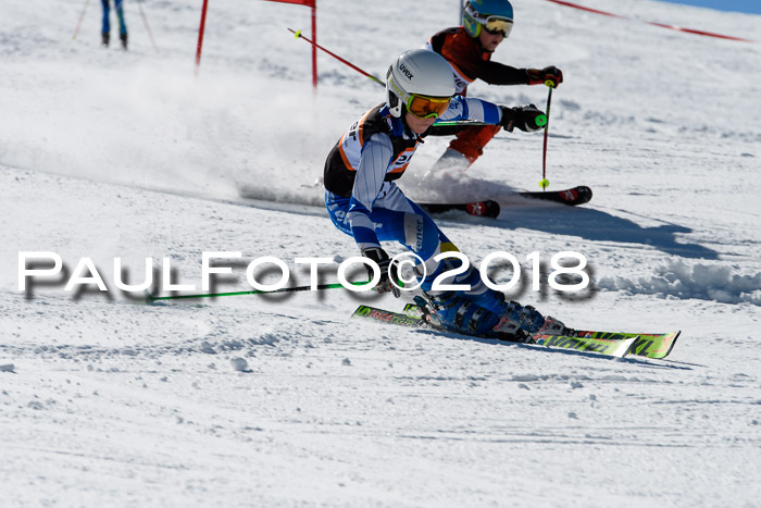 Ziener Cup WF, Finale, Quali + Parallelslalom, 24.03.2018
