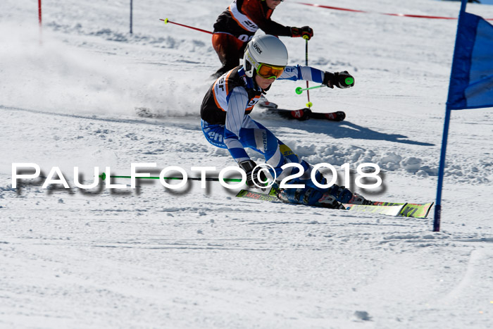 Ziener Cup WF, Finale, Quali + Parallelslalom, 24.03.2018
