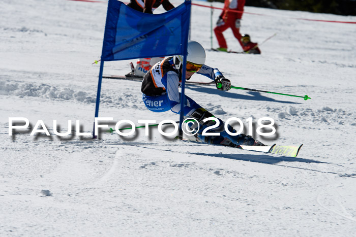 Ziener Cup WF, Finale, Quali + Parallelslalom, 24.03.2018