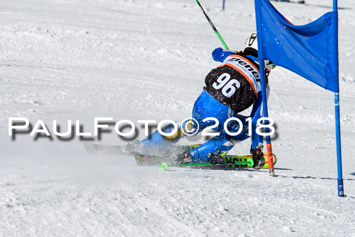 Ziener Cup WF, Finale, Quali + Parallelslalom, 24.03.2018