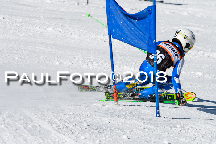 Ziener Cup WF, Finale, Quali + Parallelslalom, 24.03.2018