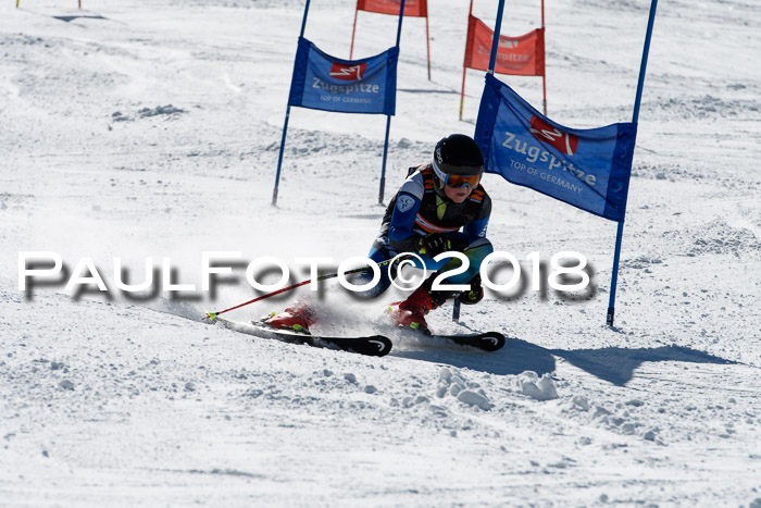 Ziener Cup WF, Finale, Quali + Parallelslalom, 24.03.2018