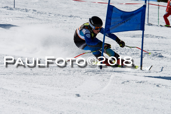 Ziener Cup WF, Finale, Quali + Parallelslalom, 24.03.2018