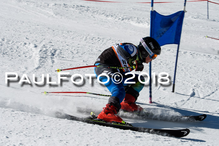Ziener Cup WF, Finale, Quali + Parallelslalom, 24.03.2018