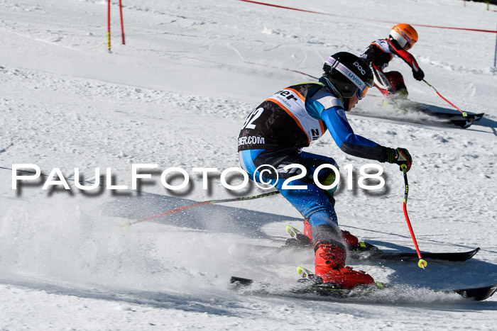 Ziener Cup WF, Finale, Quali + Parallelslalom, 24.03.2018