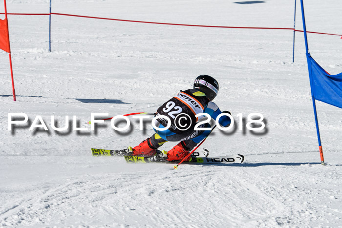 Ziener Cup WF, Finale, Quali + Parallelslalom, 24.03.2018