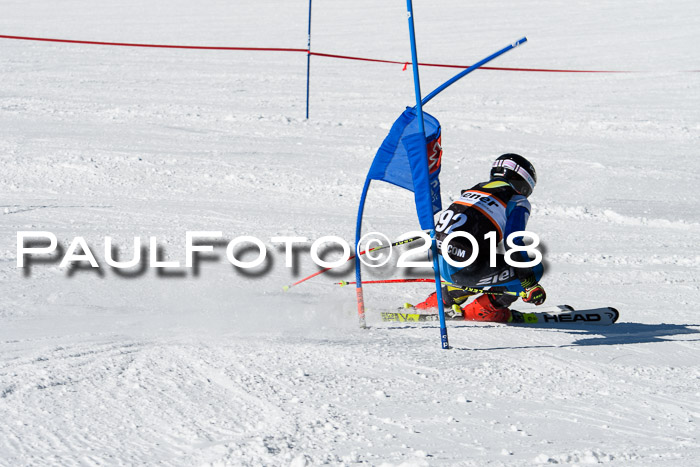 Ziener Cup WF, Finale, Quali + Parallelslalom, 24.03.2018
