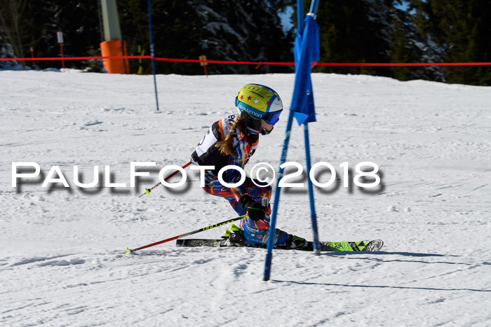 Ziener Cup WF, Finale, Quali + Parallelslalom, 24.03.2018
