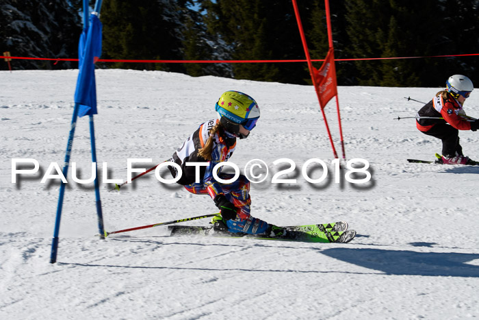 Ziener Cup WF, Finale, Quali + Parallelslalom, 24.03.2018