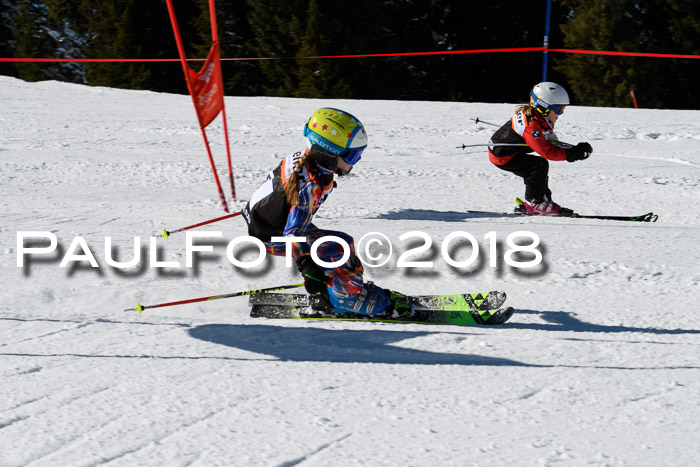 Ziener Cup WF, Finale, Quali + Parallelslalom, 24.03.2018