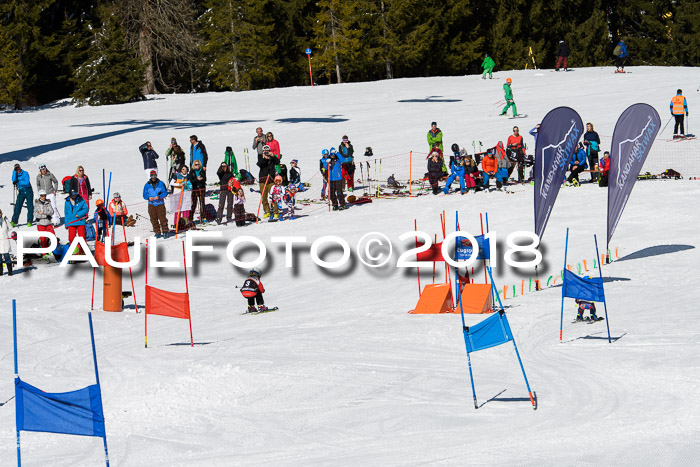 Ziener Cup WF, Finale, Quali + Parallelslalom, 24.03.2018