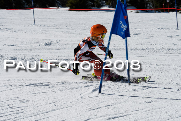 Ziener Cup WF, Finale, Quali + Parallelslalom, 24.03.2018