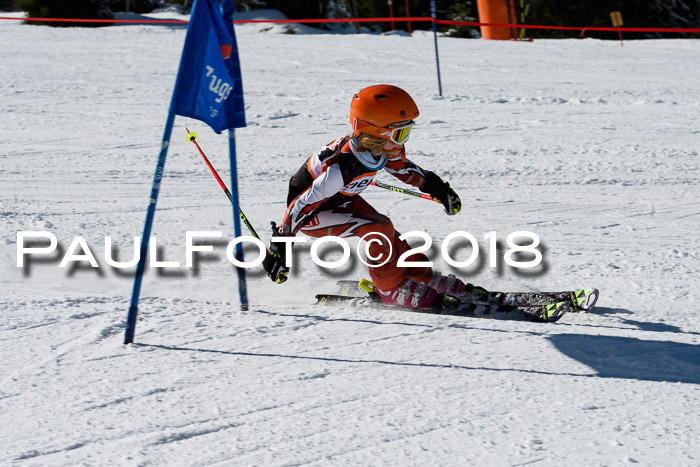 Ziener Cup WF, Finale, Quali + Parallelslalom, 24.03.2018