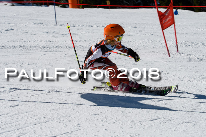 Ziener Cup WF, Finale, Quali + Parallelslalom, 24.03.2018