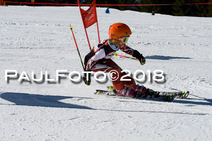 Ziener Cup WF, Finale, Quali + Parallelslalom, 24.03.2018