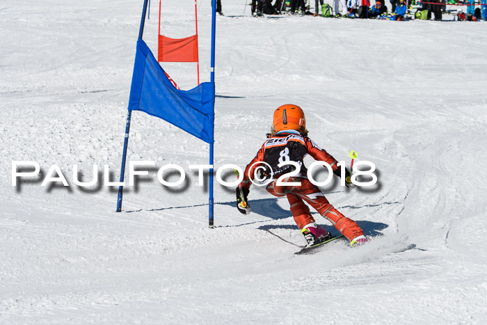 Ziener Cup WF, Finale, Quali + Parallelslalom, 24.03.2018