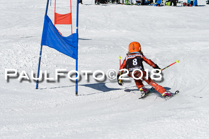 Ziener Cup WF, Finale, Quali + Parallelslalom, 24.03.2018