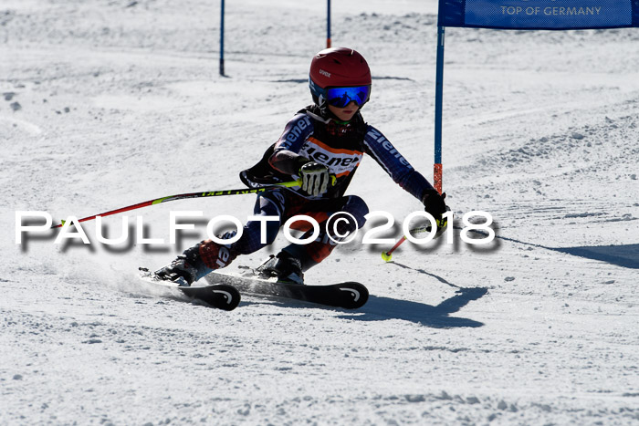 Ziener Cup WF, Finale, Quali + Parallelslalom, 24.03.2018