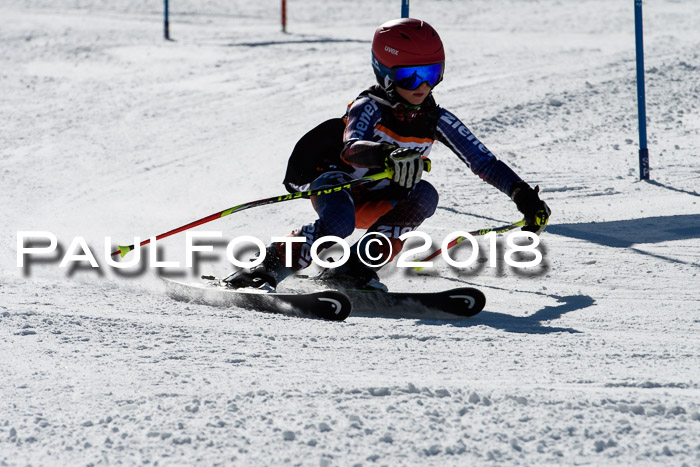 Ziener Cup WF, Finale, Quali + Parallelslalom, 24.03.2018