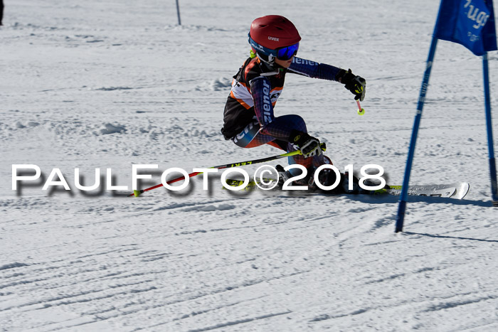 Ziener Cup WF, Finale, Quali + Parallelslalom, 24.03.2018