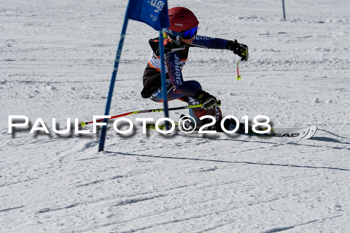 Ziener Cup WF, Finale, Quali + Parallelslalom, 24.03.2018