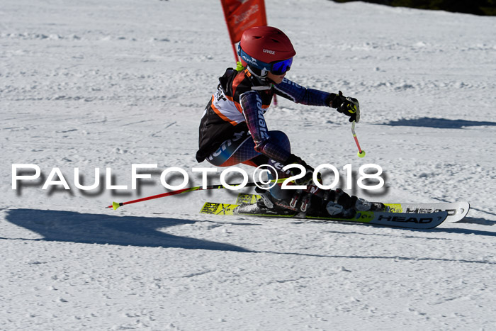 Ziener Cup WF, Finale, Quali + Parallelslalom, 24.03.2018
