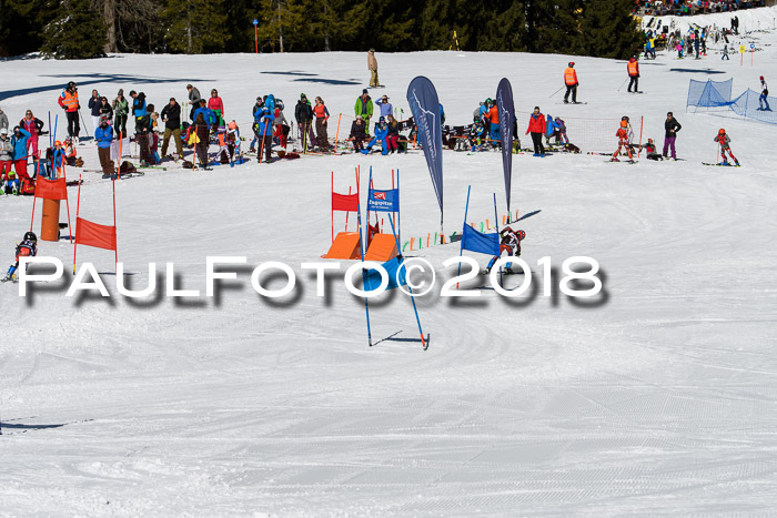 Ziener Cup WF, Finale, Quali + Parallelslalom, 24.03.2018
