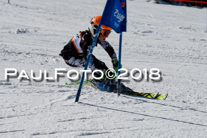 Ziener Cup WF, Finale, Quali + Parallelslalom, 24.03.2018