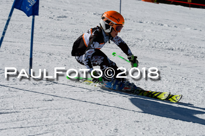 Ziener Cup WF, Finale, Quali + Parallelslalom, 24.03.2018