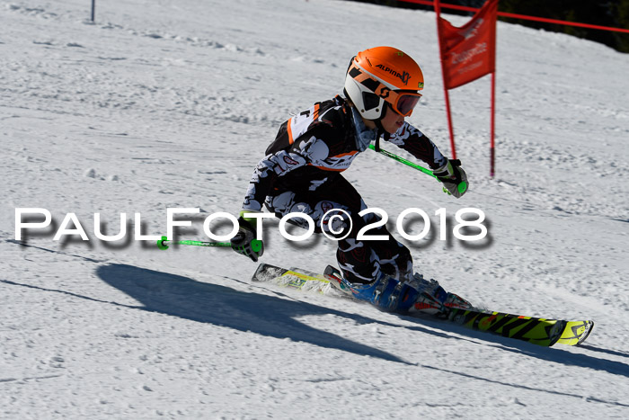 Ziener Cup WF, Finale, Quali + Parallelslalom, 24.03.2018