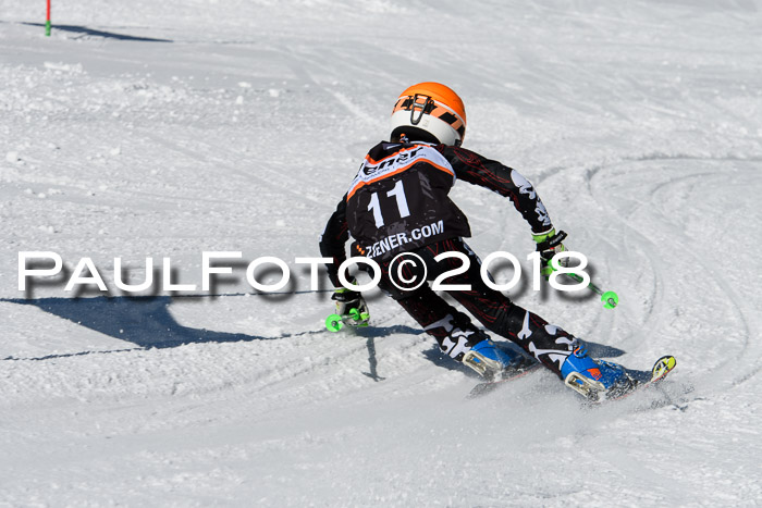 Ziener Cup WF, Finale, Quali + Parallelslalom, 24.03.2018