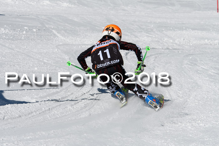 Ziener Cup WF, Finale, Quali + Parallelslalom, 24.03.2018