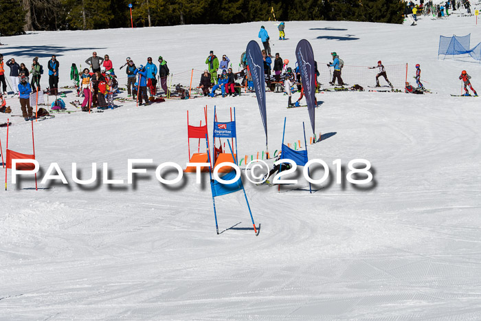 Ziener Cup WF, Finale, Quali + Parallelslalom, 24.03.2018
