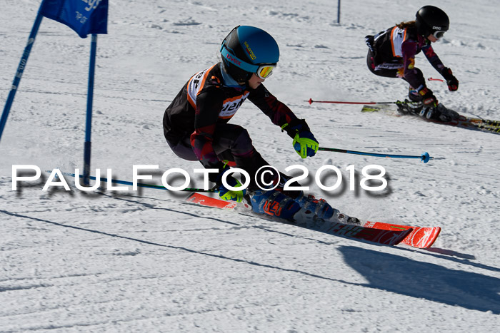 Ziener Cup WF, Finale, Quali + Parallelslalom, 24.03.2018