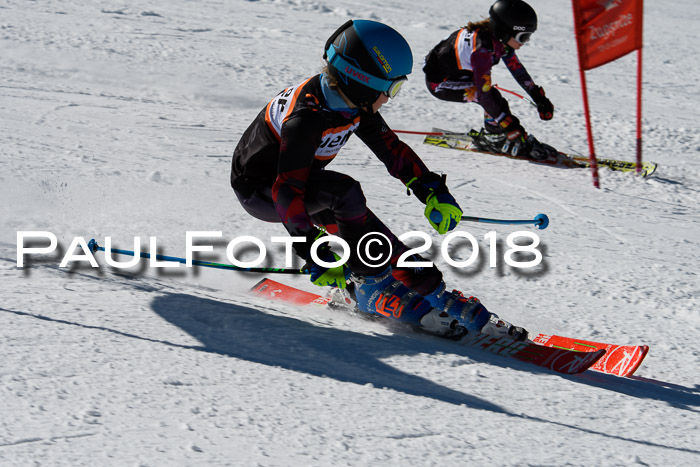 Ziener Cup WF, Finale, Quali + Parallelslalom, 24.03.2018