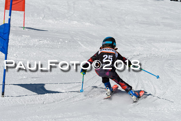 Ziener Cup WF, Finale, Quali + Parallelslalom, 24.03.2018