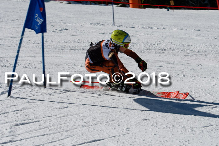 Ziener Cup WF, Finale, Quali + Parallelslalom, 24.03.2018